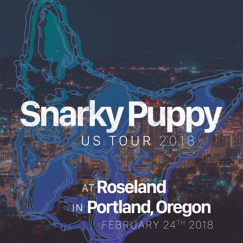 Snarky Puppy
