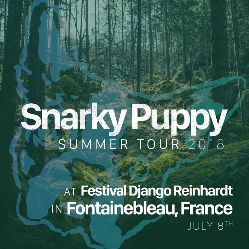 Snarky Puppy