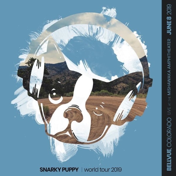 Snarky Puppy
