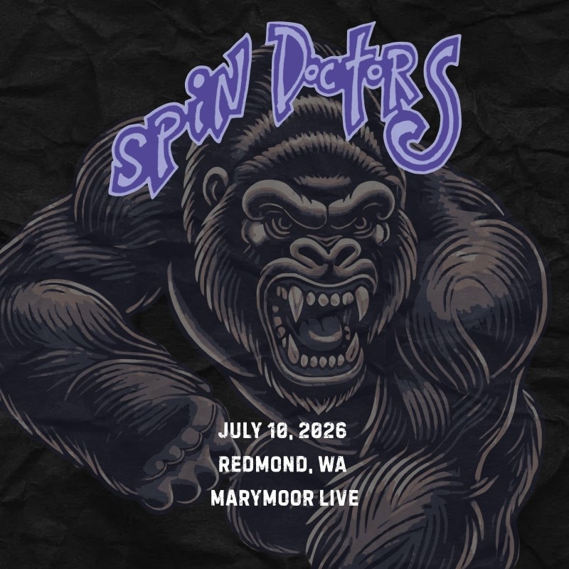 Spin Doctors