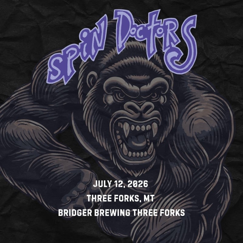 Spin Doctors