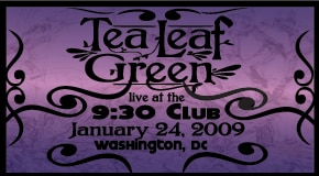 Tea Leaf Green