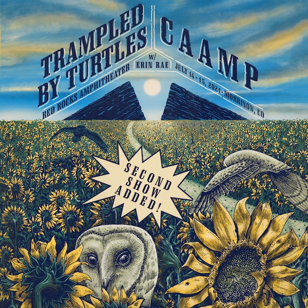 Trampled By Turtles