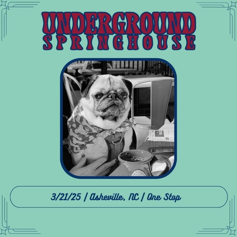 Underground Springhouse