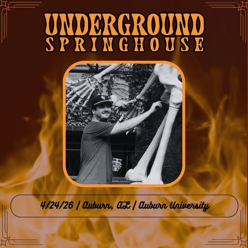 Underground Springhouse